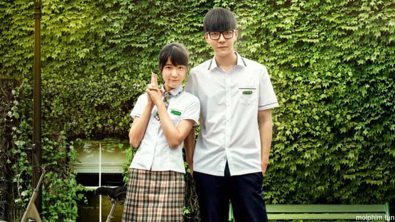 17 U Sầu