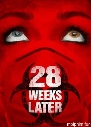 28 Weeks Later
