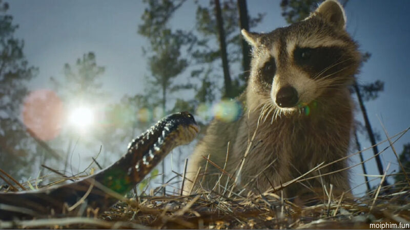 Ác Mộng Của Thiên Nhiên (Phần 2)