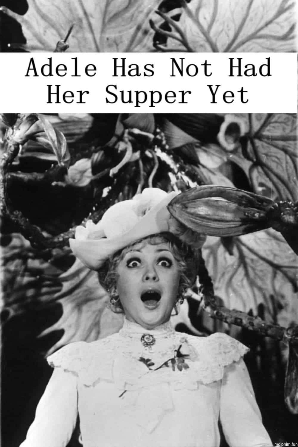Adele Hasn't Had Her Dinner Yet