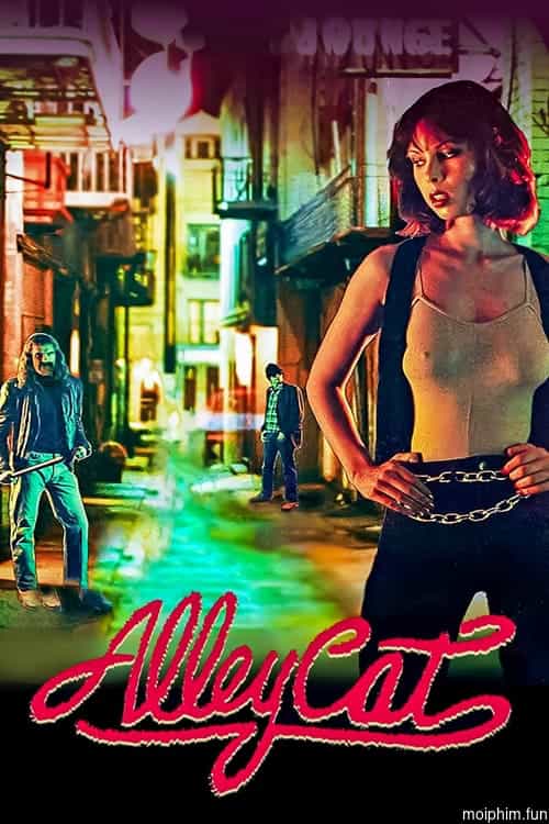 Alley Cat
