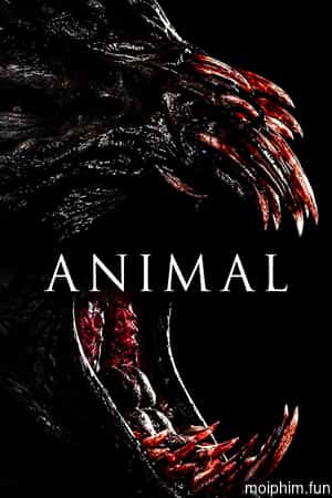 Animal