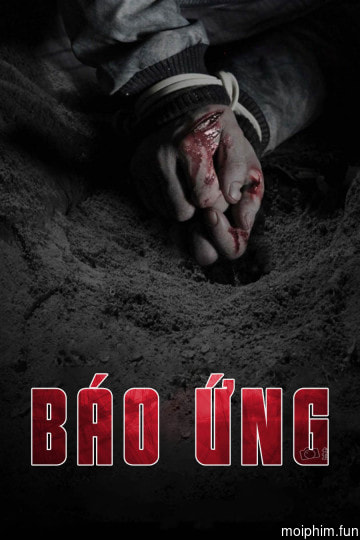 Báo Ứng