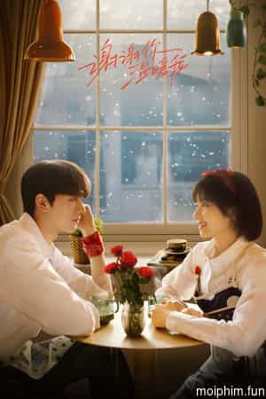 Cảm Ơn Em Đã Sưởi Ấm Anh (Angels Fall Sometimes) [2024]
