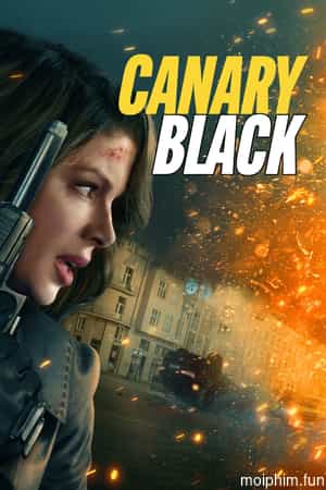 Canary Black