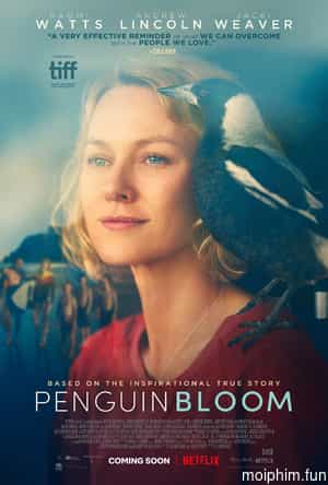 Cánh Cụt nhà Bloom