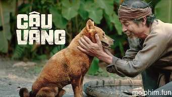 Cậu Vàng