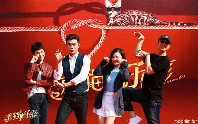 Chiếc Bóng Sư Tử Trên Thân Mèo