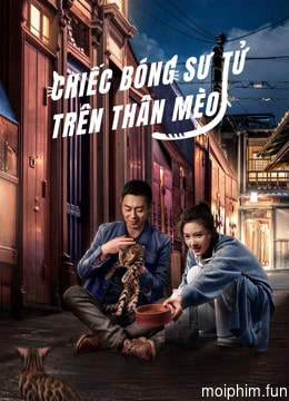 Chiếc Bóng Sư Tử Trên Thân Mèo