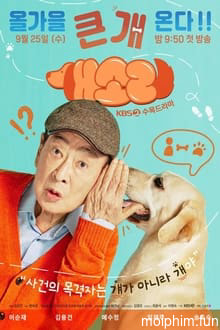 Chú Chó Biết Tuốt (Dog Knows Everything) [2024]