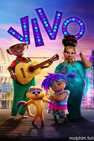 Chú Gấu Vivo