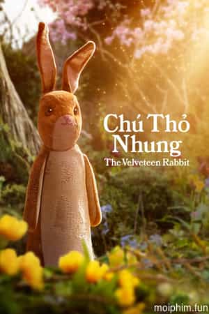 Chú Thỏ Nhung