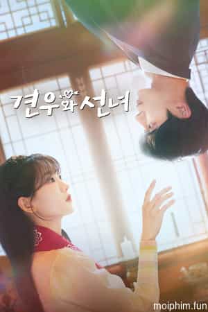 Chuyện Tình Nàng Pháp Sư (Head Over Heels) [2025]
