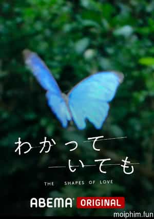 DẪU BIẾT DÁNG HÌNH TÌNH YÊU (The Shapes of Love) [2024]