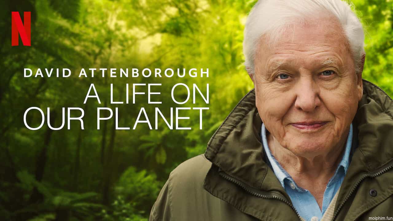 David Attenborough: Một cuộc đời trên Trái Đất