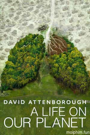 David Attenborough: Một cuộc đời trên Trái Đất