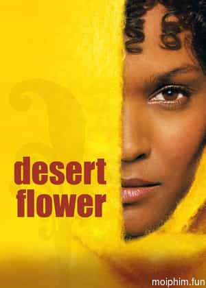 Desert Flower