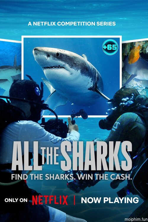 Đi tìm cá mập (All the Sharks) [2025]