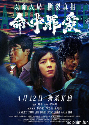 Định Mệnh Tình Yêu (A Stolen Life) [2025]