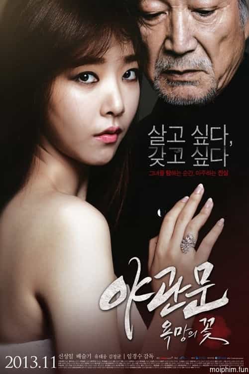Door to the Night (Door to the Night) [2013]