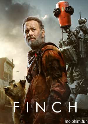 Finch