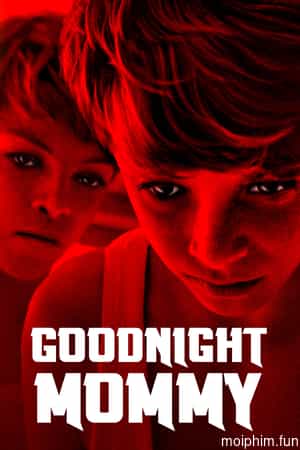 Goodnight Mommy