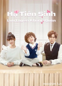 Hạ Tiên Sinh Lưu Luyến Không Quên (Nỗi Vương Vấn Của Hạ Tiên Sinh)