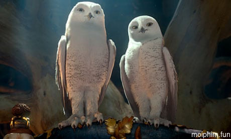 Hộ Vệ Xứ GaHoole