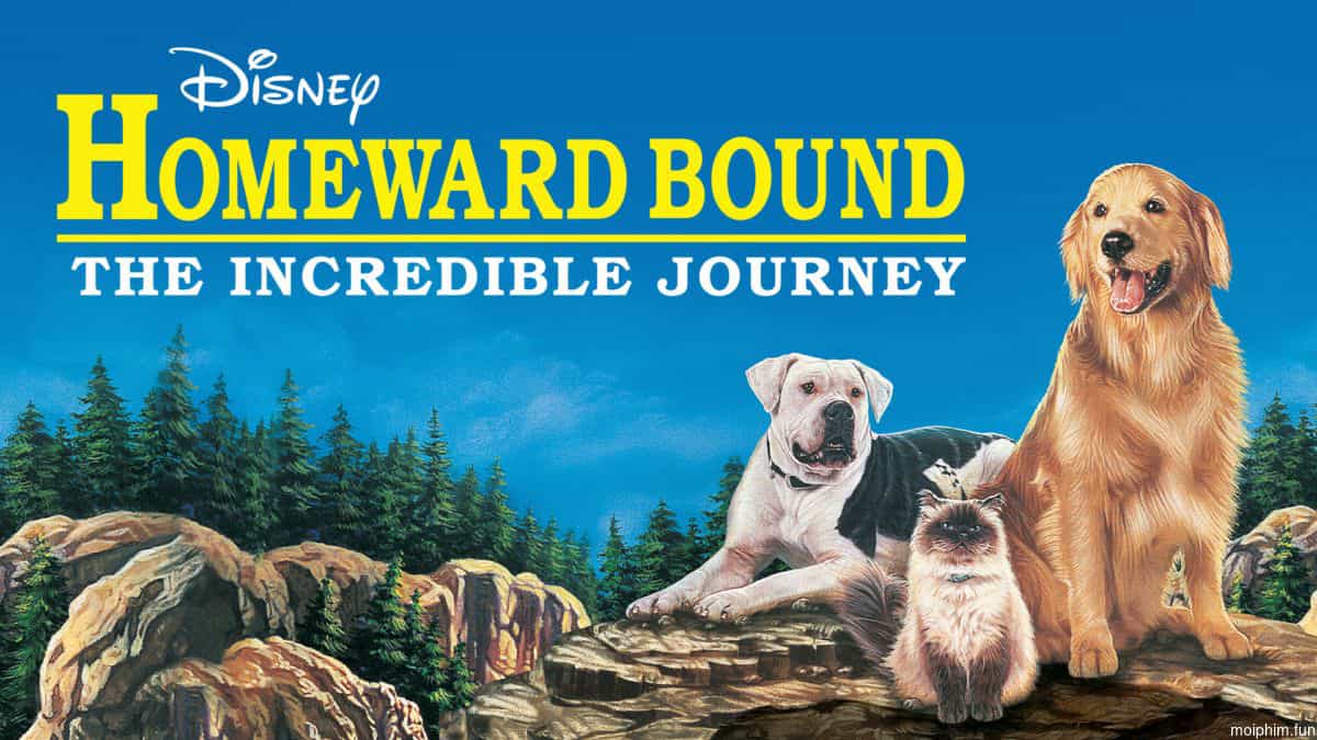 Homeward Bound: The Incredible Journey