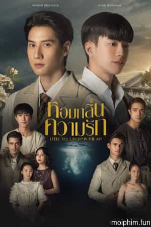 Hương Tình Yêu