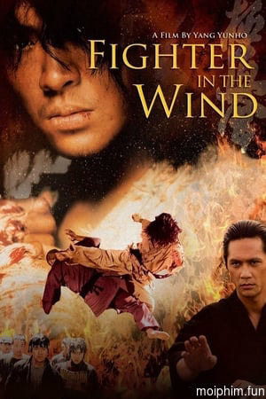 Huyền thoại võ sĩ (Fighter in the Wind) [2004]