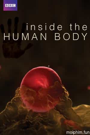 Inside the Human Body