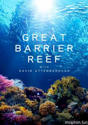 Khám Phá Rạn San Hô Great Barrier cùng David Attenborough