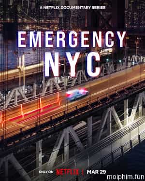 Khẩn cấp: New York
