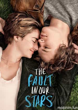 Khi Lỗi Thuộc Về Những Vì Sao (The Fault in Our Stars) [2014]