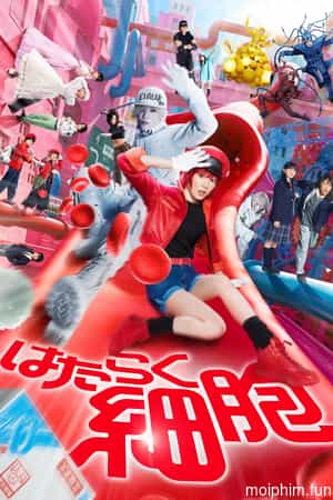 Khi tế bào làm việc (Cells at Work!) [2024]