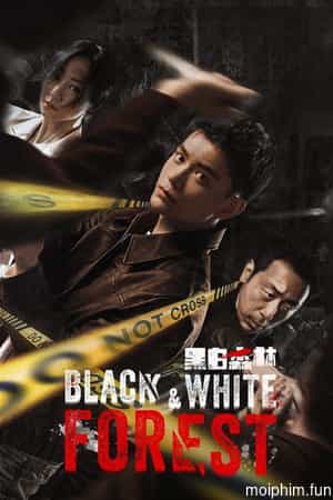 Khu Rừng Đen Trắng (Black&White Forest) [2024]