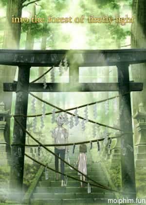 Lạc Vào Khu Rừng Đom Đóm (To the Forest of Firefly Lights) [2011]