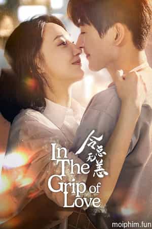 Lệnh Tổng Đã Lâu Không Gặp (In The Grip of Love) [2024]