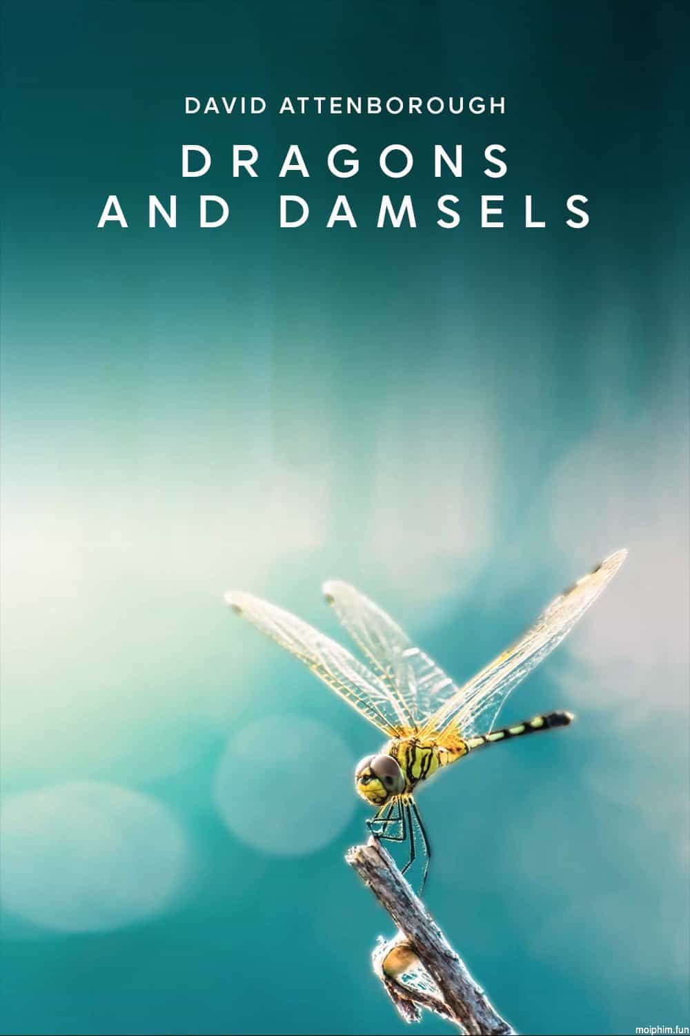 Loài Chuồn Chuồn (Dragons and Damsels) [2019]