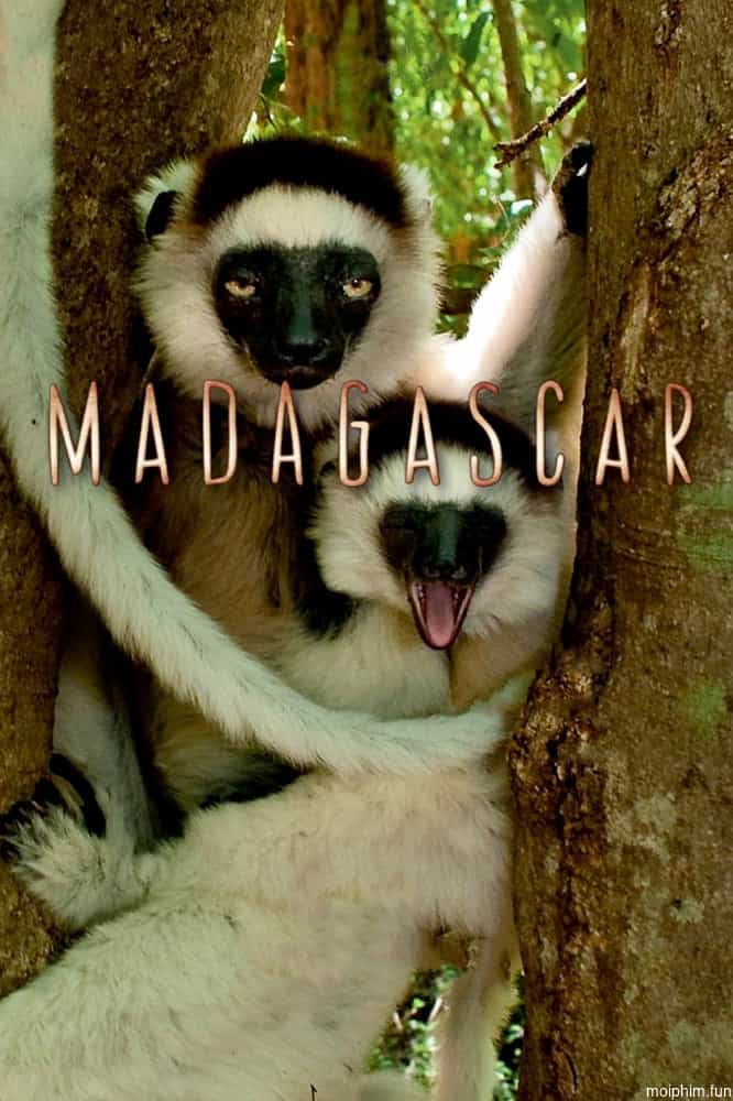 Madagascar 2011