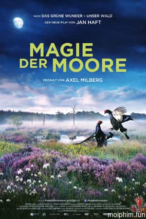 Magie der Moore
