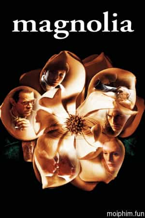 Magnolia