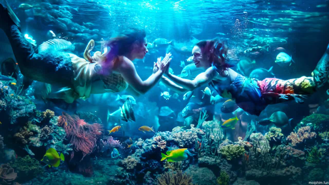MerPeople: Nghề nhân ngư