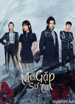 Mơ Gặp Sư Tử