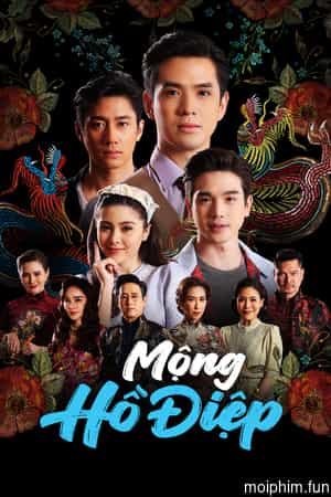 Mộng Hồ Điệp