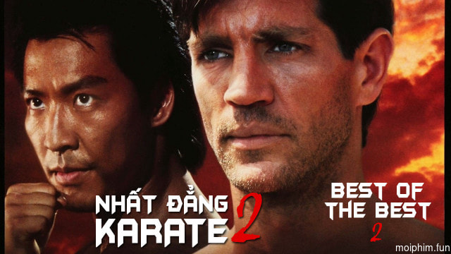 Nhất Đẳng Karate 2