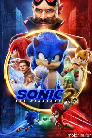 Nhím Sonic 2