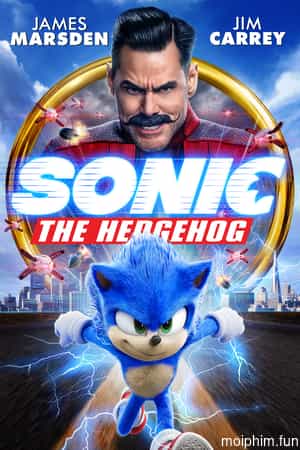 Nhím Sonic