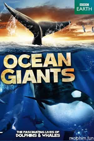 Ocean Giants